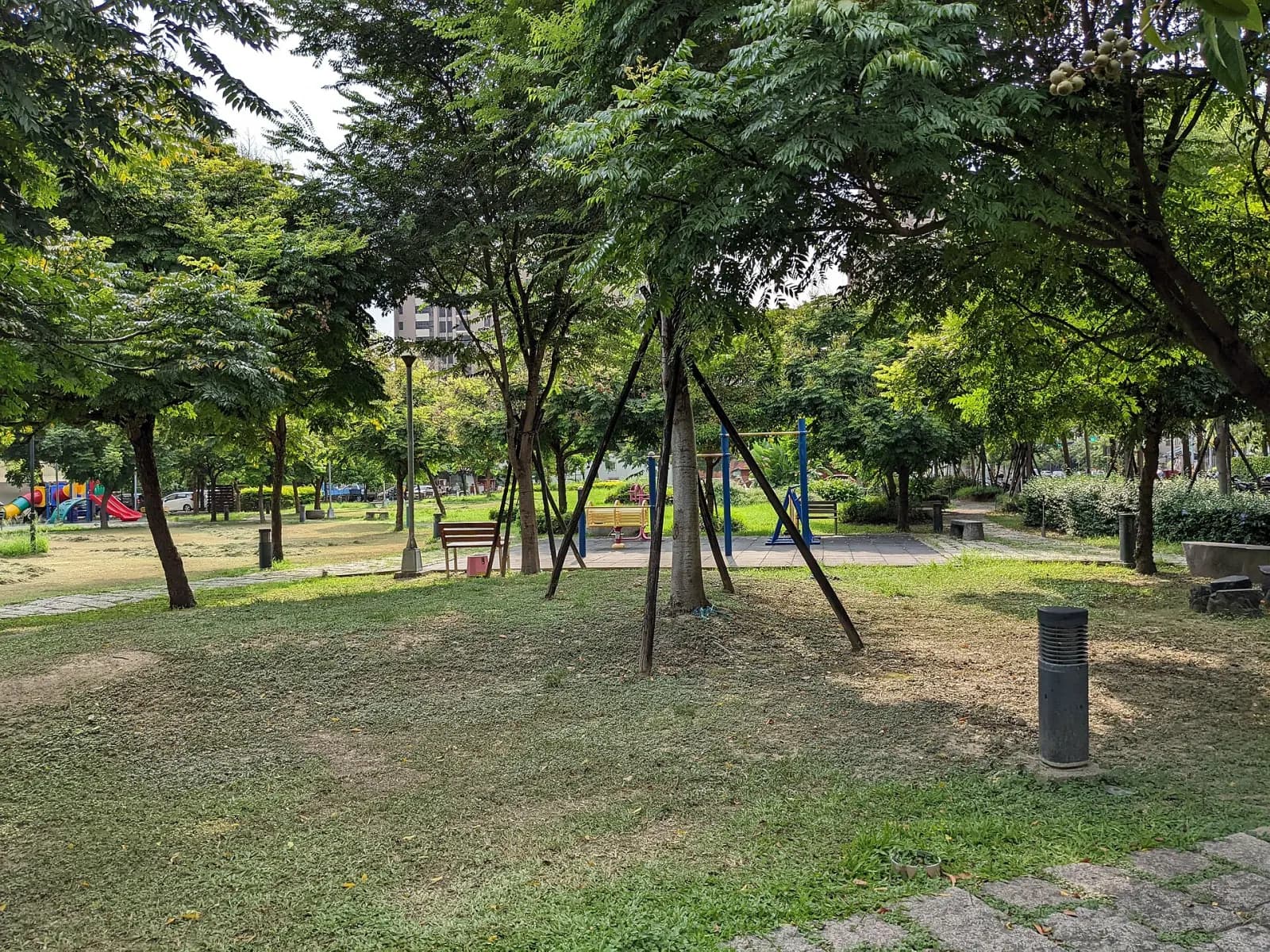 臺中北屯四張犁潮春公園的林蔭、草地與休憩空間